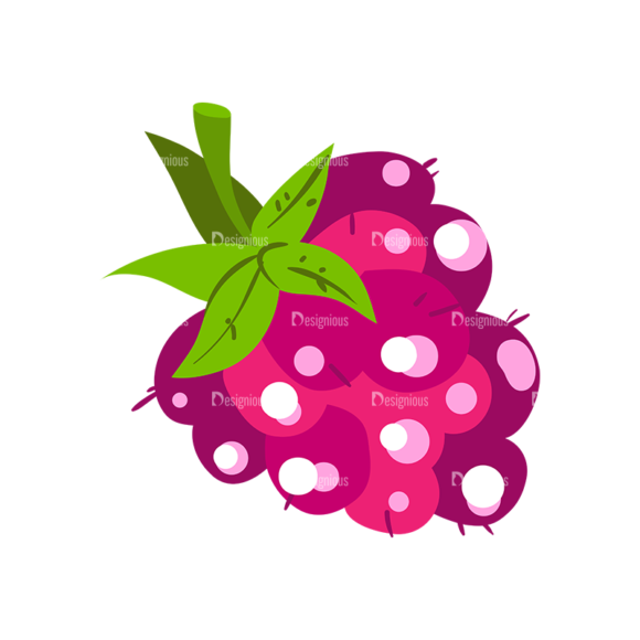 Berries Raspberry 04 1