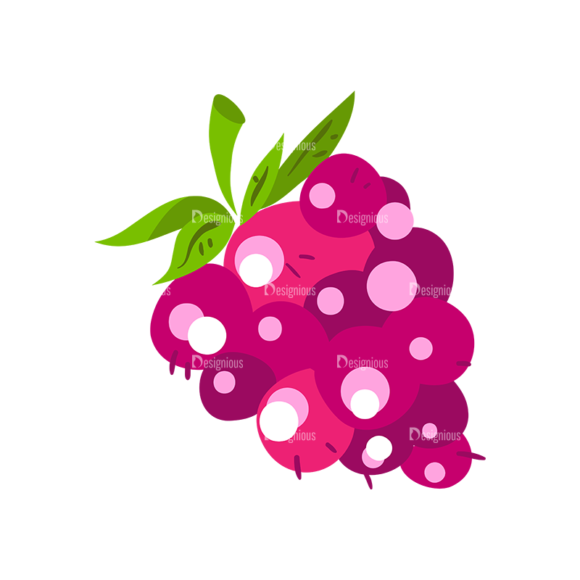 Berries Raspberry 09 1