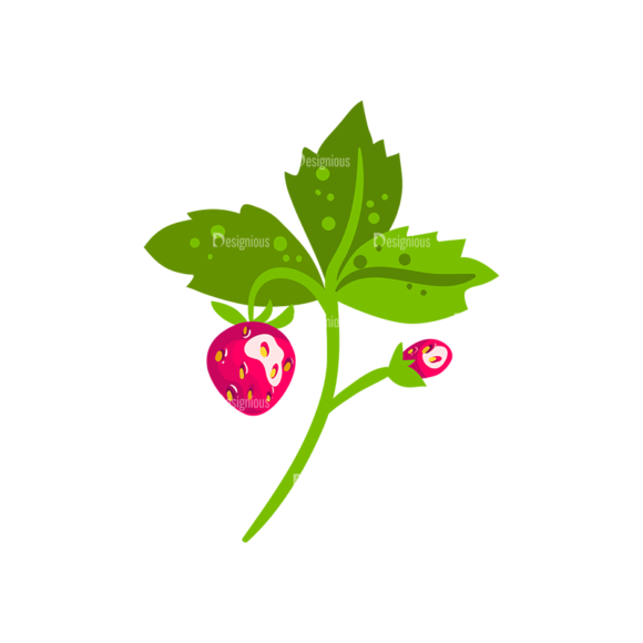 Berries Strawberry 02 1