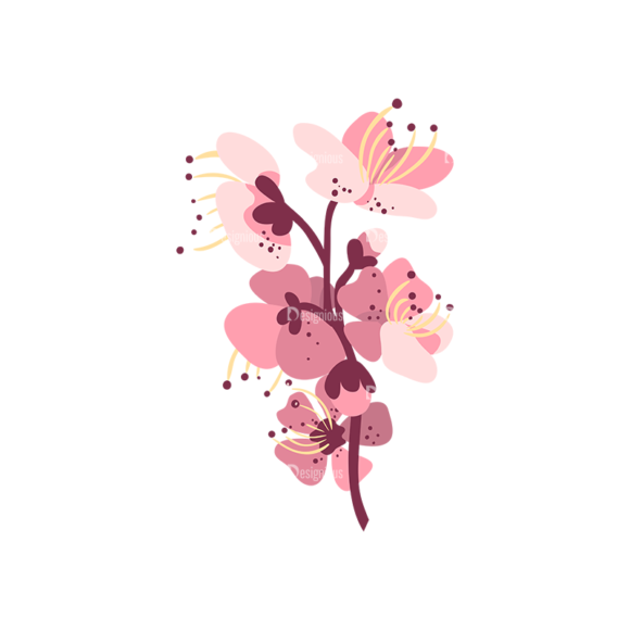 Cherry Blossom Flowers 01 1