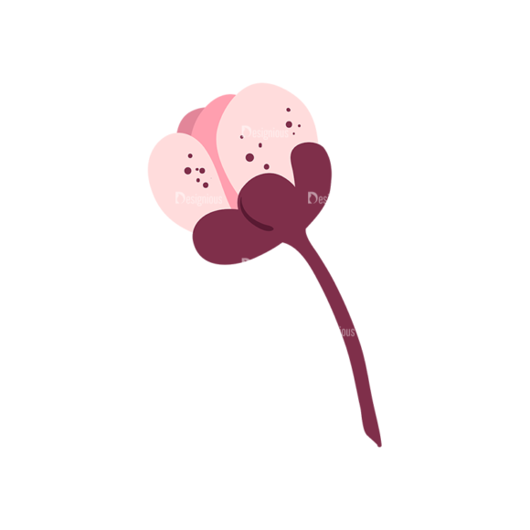 Cherry Blossom Flowers 04 1