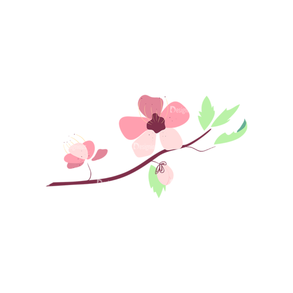 Cherry Blossom Flowers 06 1