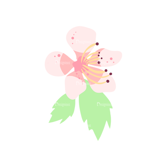 Cherry Blossom Flowers 09 1
