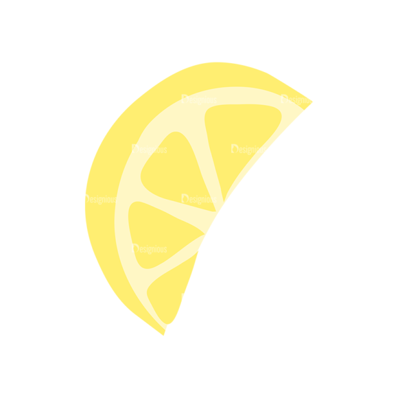 Exotic Fruits Lemon Slice 14 1