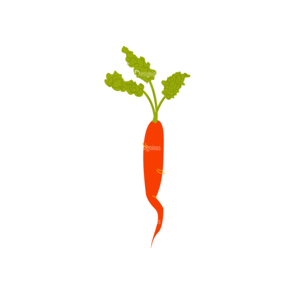 Farming Plants Carrot 02 1