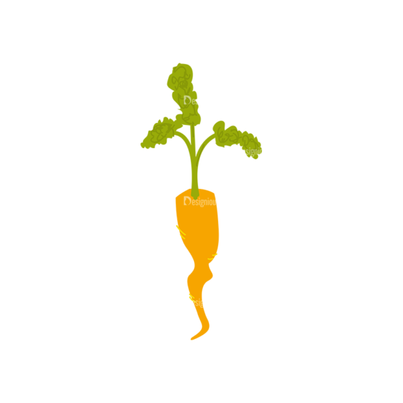 Farming Plants Carrot 03 1