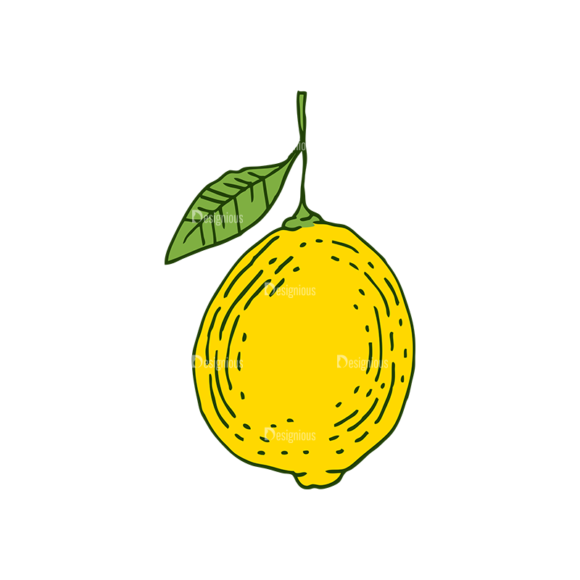 Engraved Lemons Vector Set 1 Vector Lemon 01 1