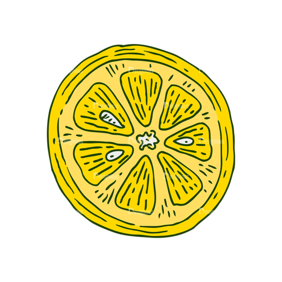 Engraved Lemons Vector Set 1 Vector Lemon 04 1
