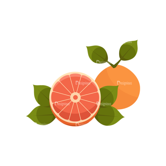 Exotic Fruits Vector Set 1 Vector Oranges Grapefruit 1