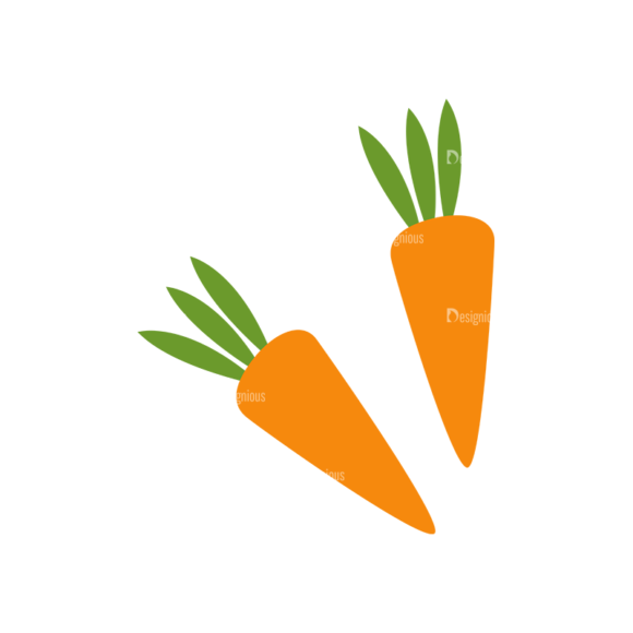 Food And Products Vector Set 7 Vector Carrots 1