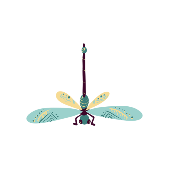 Insects Dragon Fly 1