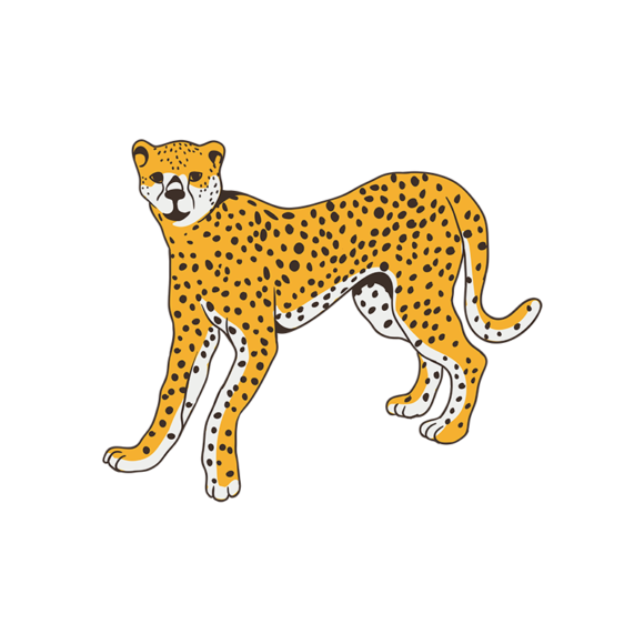 Africa Animals Vector 1 Vector Cheetah 1