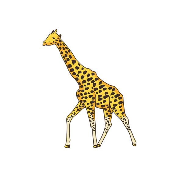 Africa Animals Vector 1 Vector Giraffe 1