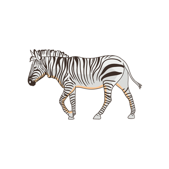 Africa Animals Vector 1 Vector Zebra 1