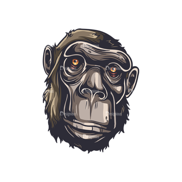 Apes Vector 1 2 1