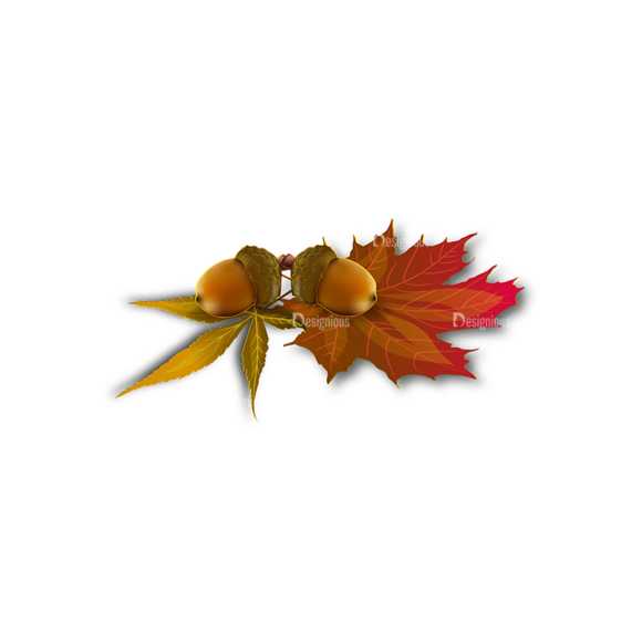 Autumn Elements Vector Leaves 02 1