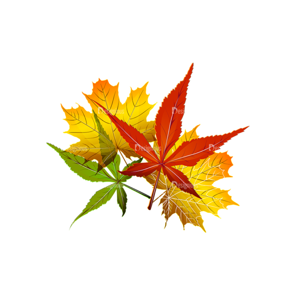 Autumn Elements Vector Leaves 24 1