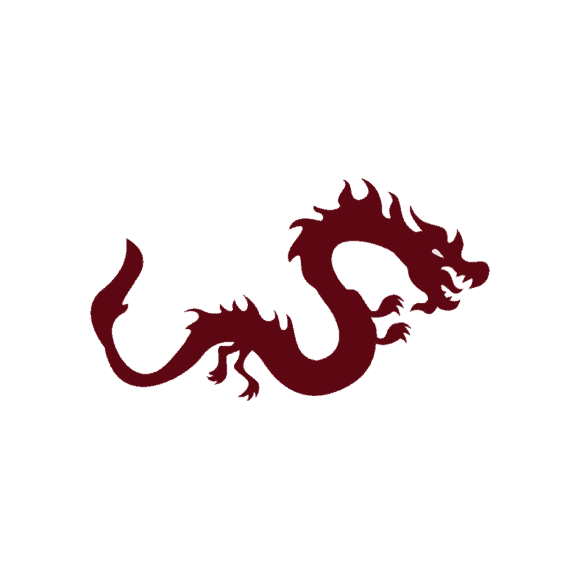 Beijing Vector Dragon 1