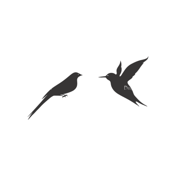 Birds Vector 6 10 1