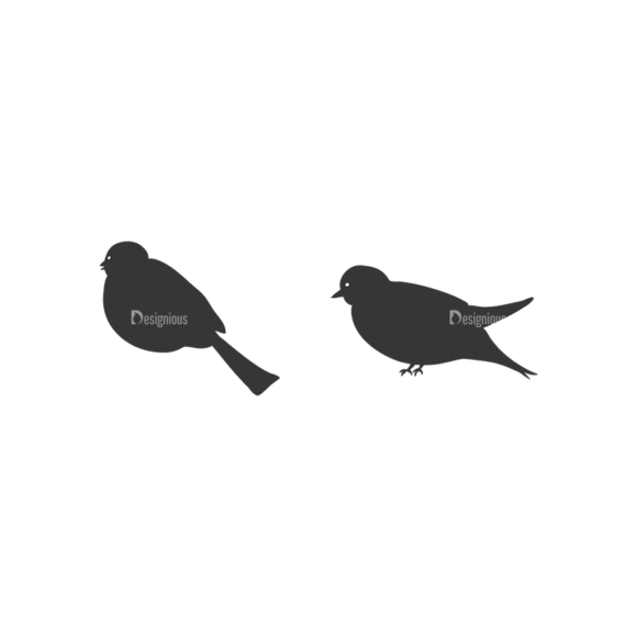 Birds Vector 6 4 1