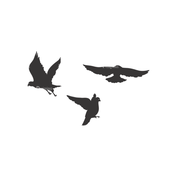 Birds Vector 6 6 1