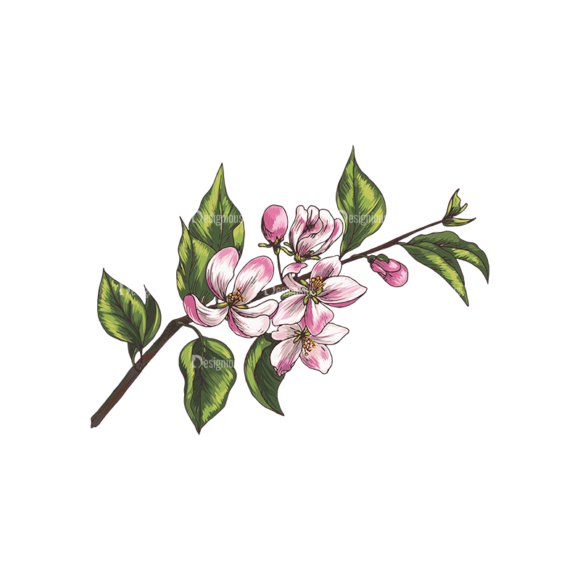 Blossomed Branches Vector 1 1 1
