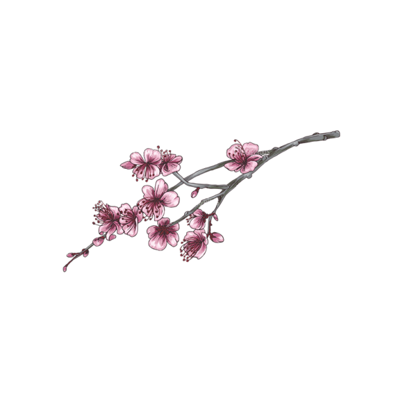 Blossomed Branches Vector 1 2 1