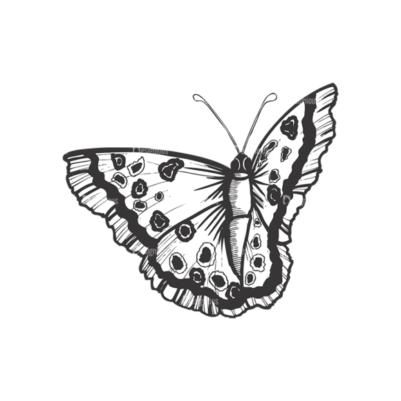 Butterflies Vector 1 1 1
