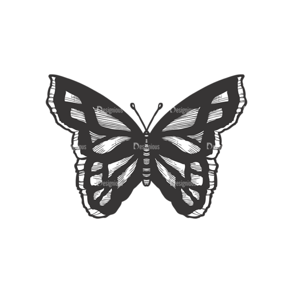 Butterflies Vector 1 10 1