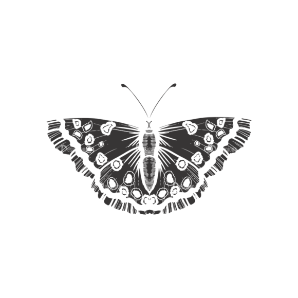 Butterflies Vector 1 12 1
