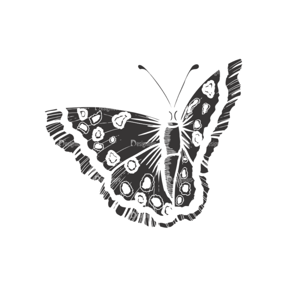 Butterflies Vector 1 13 1