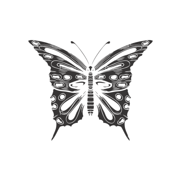 Butterflies Vector 1 15 1
