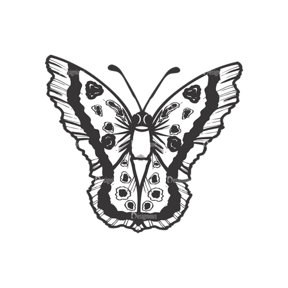 Butterflies Vector 1 2 1