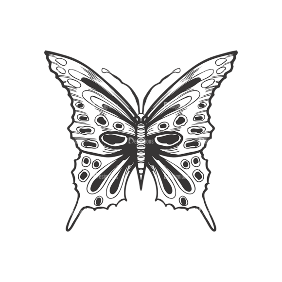 Butterflies Vector 1 4 1