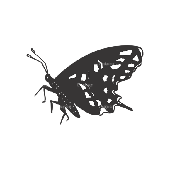 Butterflies Vector 1 5 1