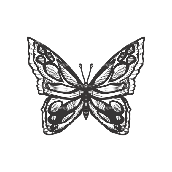 Butterflies Vector 1 7 1