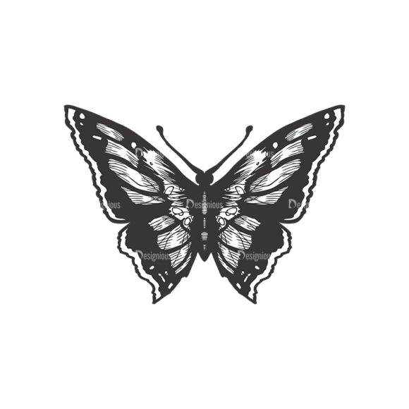 Butterflies Vector 1 8 1