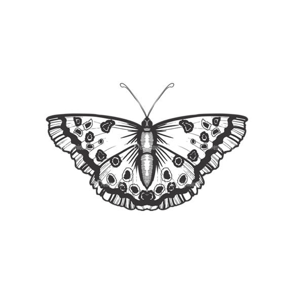 Butterflies Vector 1 9 1