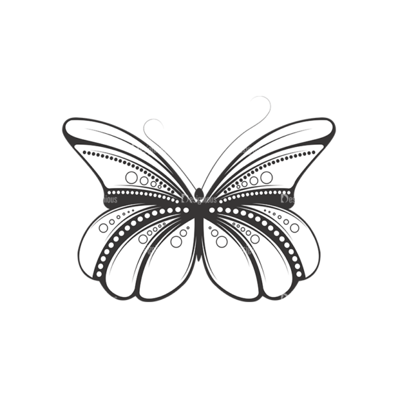 Butterflies Vector 2 19 1