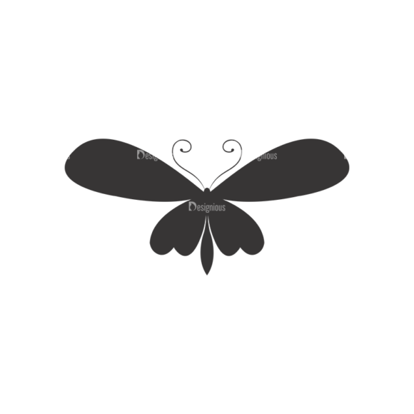 Butterflies Vector 3 11 1