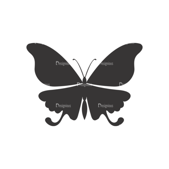 Butterflies Vector 3 16 1