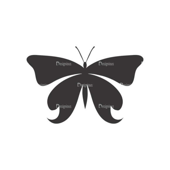 Butterflies Vector 3 21 1