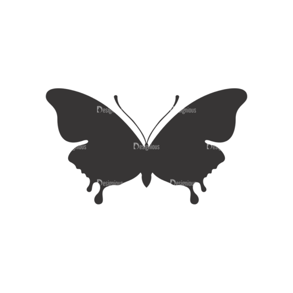 Butterflies Vector 3 5 1