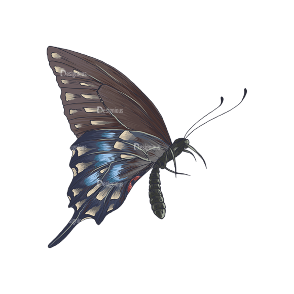 Butterflies Vector 5 4 1