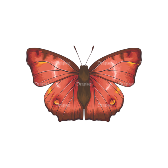 Butterflies Vector 6 1 1