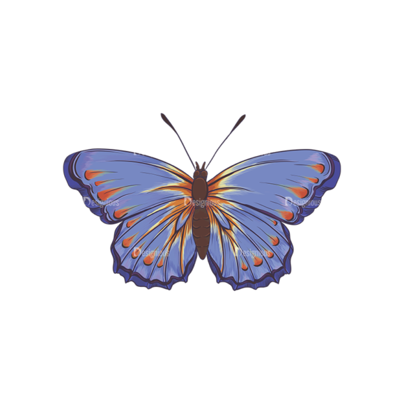 Butterflies Vector 6 3 1