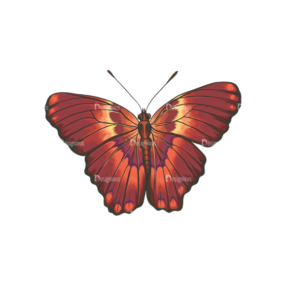 Butterflies Vector 6 5 1