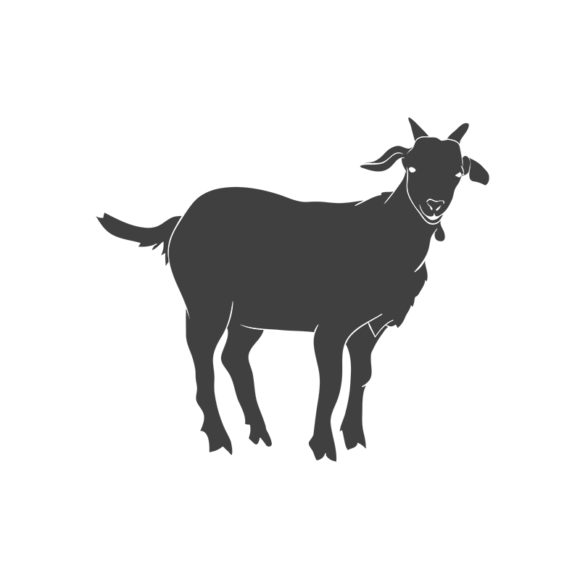 Domestic Animals Vintage Vector 3 Vector Goat 1