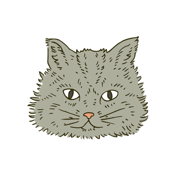 Engraved Domestic Animals Vector 1 Vector Cat 1