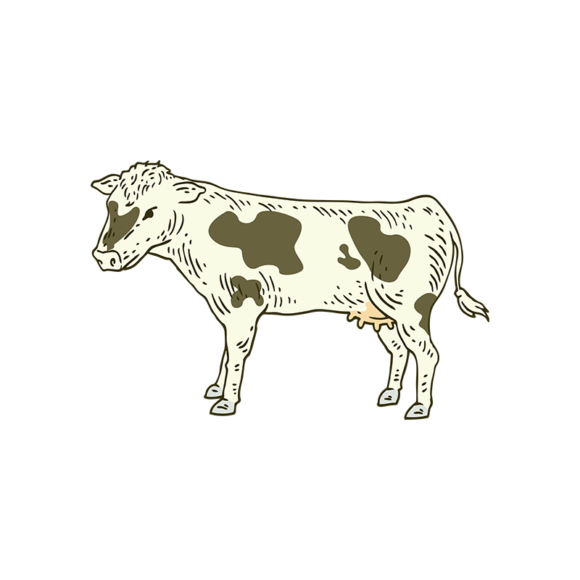 Engraved Domestic Animals Vector 1 Vector Cow 1